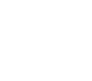STISS